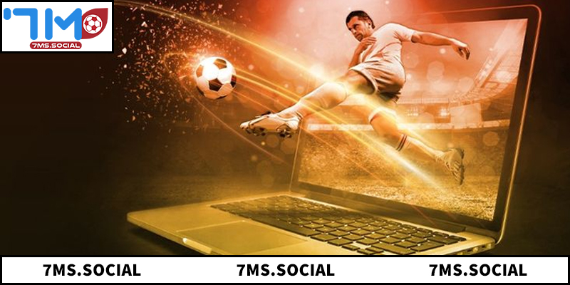 Khám phá sức hút của nền tảng 7M