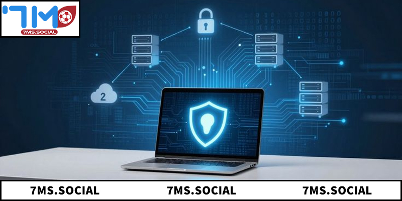 Khám phá toàn bộ chính sách bảo mật