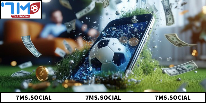 Lý do nền tảng 7M lại đáng tin cậy đến vậy