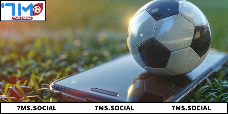 Tổng quan về hệ thống livescore